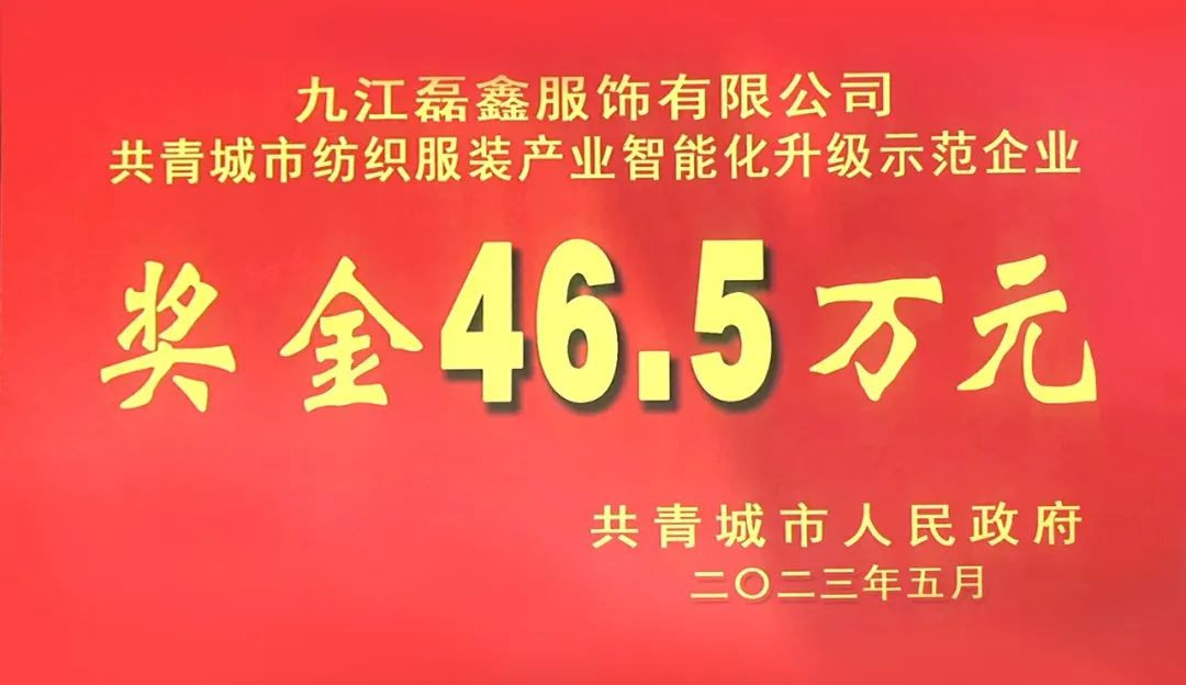 客戶新聞 | 磊鑫服飾榮獲紡織服裝產(chǎn)業(yè)智能化升級(jí)示范企業(yè)！