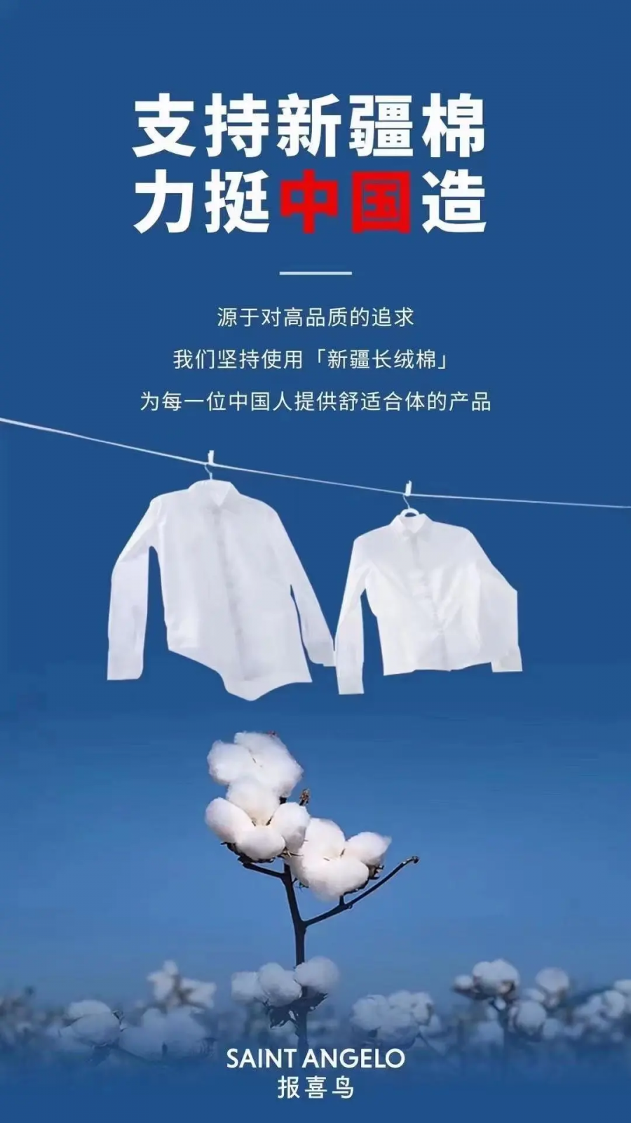 報(bào)喜鳥(niǎo).png