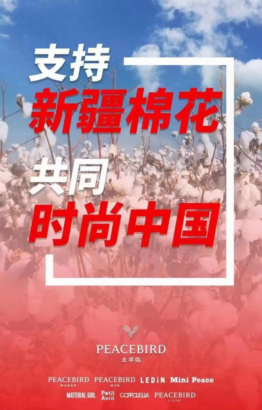 太平鳥(niǎo).png