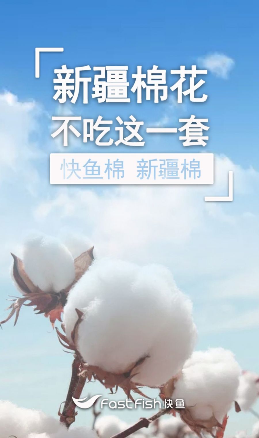 快魚(yú).jpg